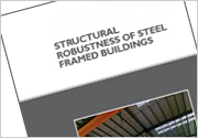 Structural robustness of steel framed buildings (P391)