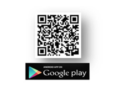 Galvanizers Association Logo