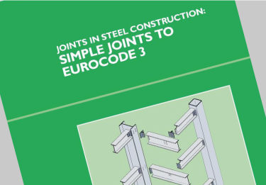 Joints in Steel Construction.  Simple joints to Eurocode 3 'The Green Book ' P358