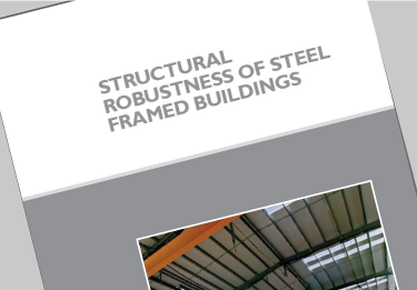 Structural robustness of steel framed buildings (P391)