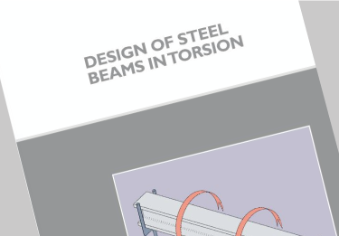Design of Steel beams in torsion (P385)